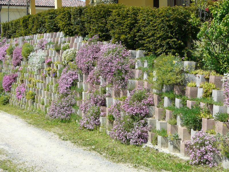 Click here for full details.